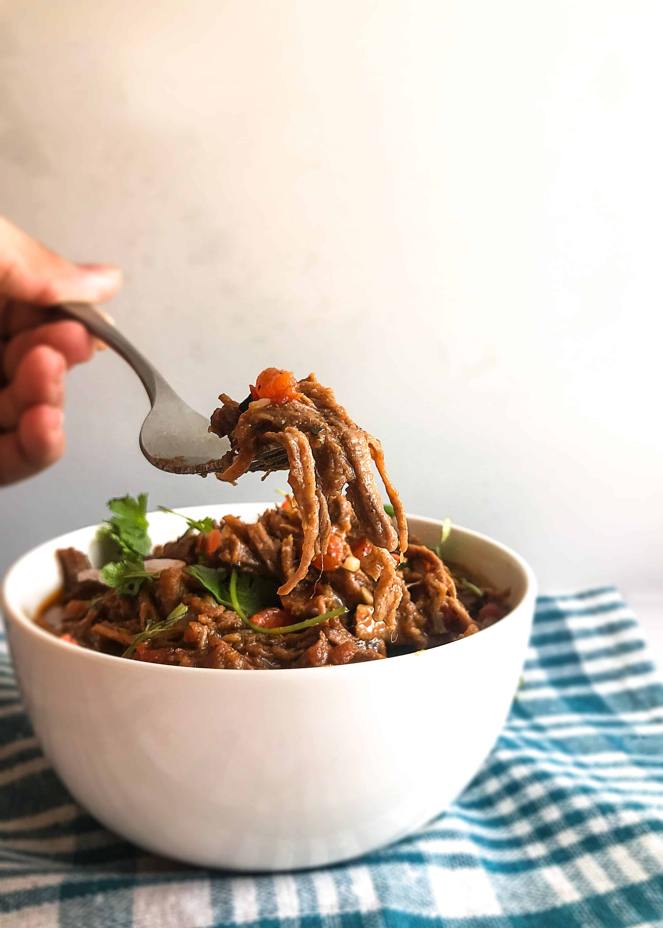 mexican shredded beef